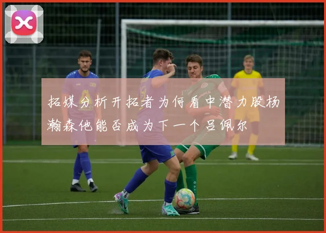拓媒分析开拓者为何看中潜力股杨瀚森他能否成为下一个吕佩尔