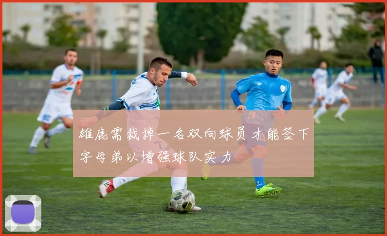 雄鹿需裁掉一名双向球员才能签下字母弟以增强球队实力