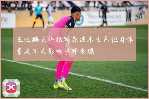王仕鹏点评杨瀚森技术出色但身体素质不足影响中锋表现
