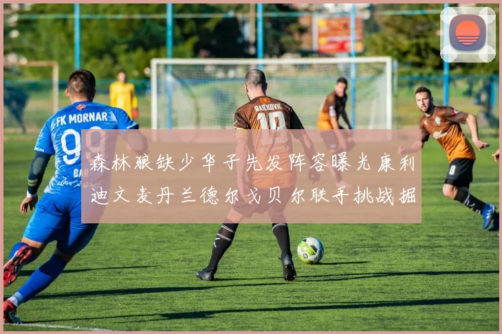 森林狼缺少华子先发阵容曝光康利迪文麦丹兰德尔戈贝尔联手挑战掘金