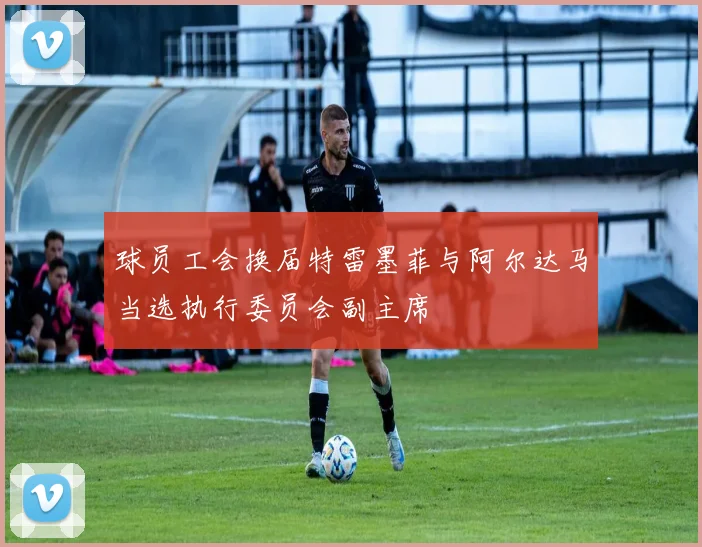 球员工会换届特雷墨菲与阿尔达马当选执行委员会副主席